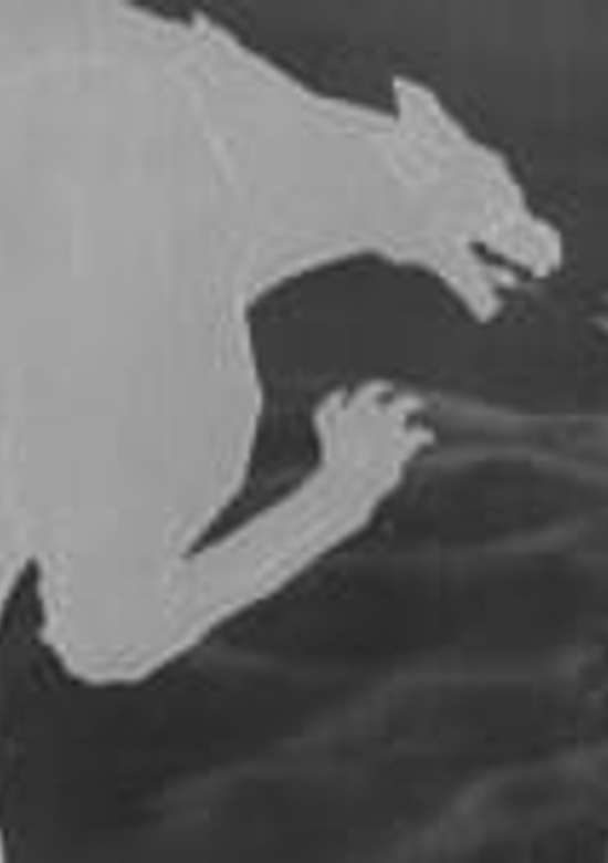 Muku no Ki no Hanashi