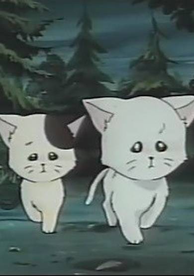 Meow no Hoshi cover