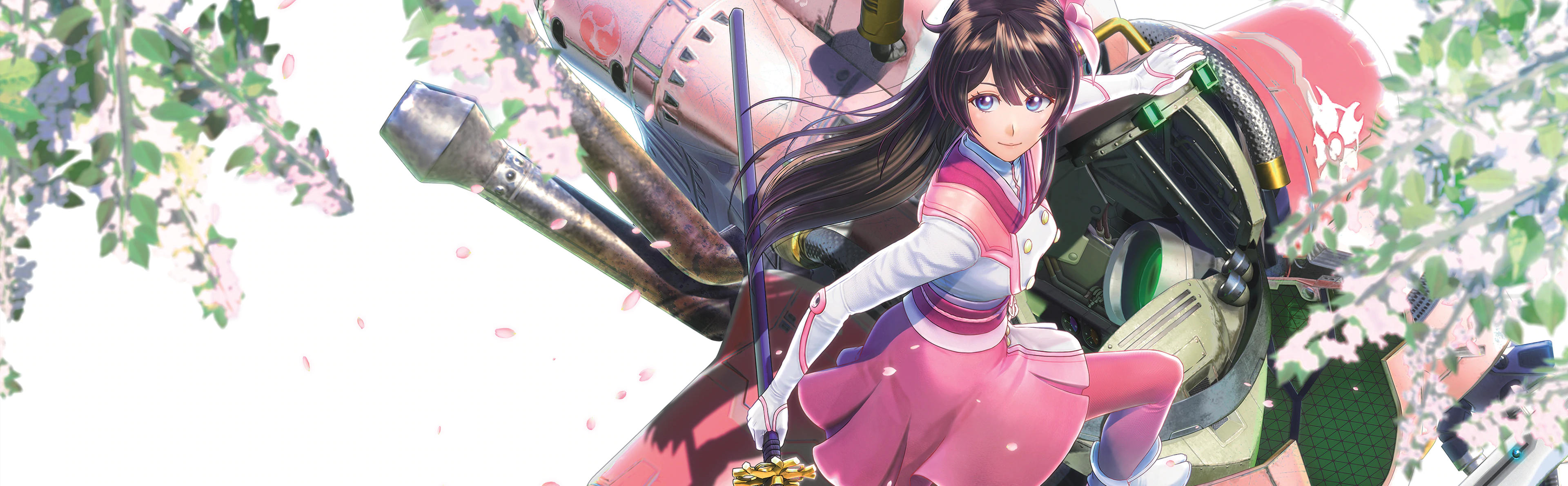 Shin Sakura Taisen The Animation