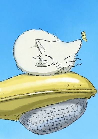 The streetlight and the cat cover