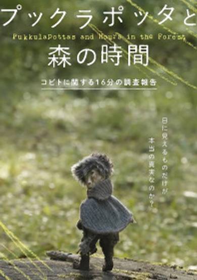 Pukkulapottas and Hours in the Forest