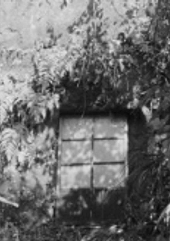My Shelter