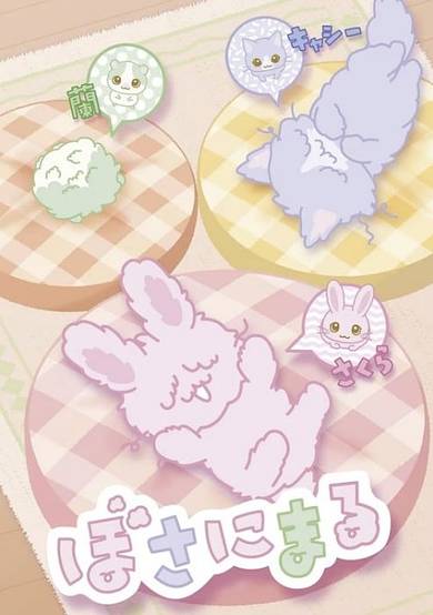Bosanimal cover