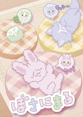Bosanimal poster