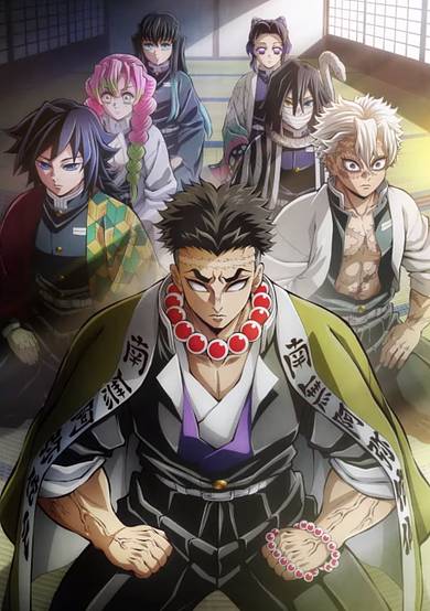 Demon Slayer: Kimetsu no Yaiba - Hashira Training Arc