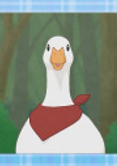 Duck's Little Adventure