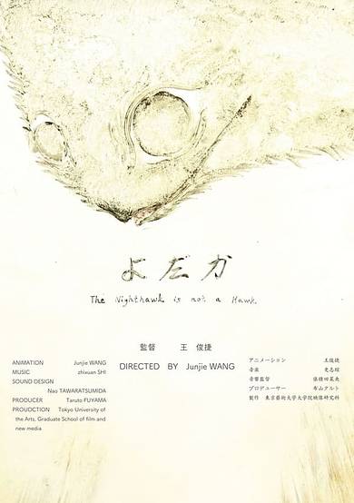 The Nighthawk Is Not a Hawk