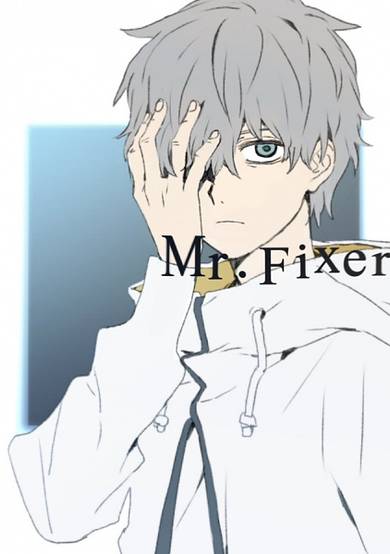 Mr. Fixer cover