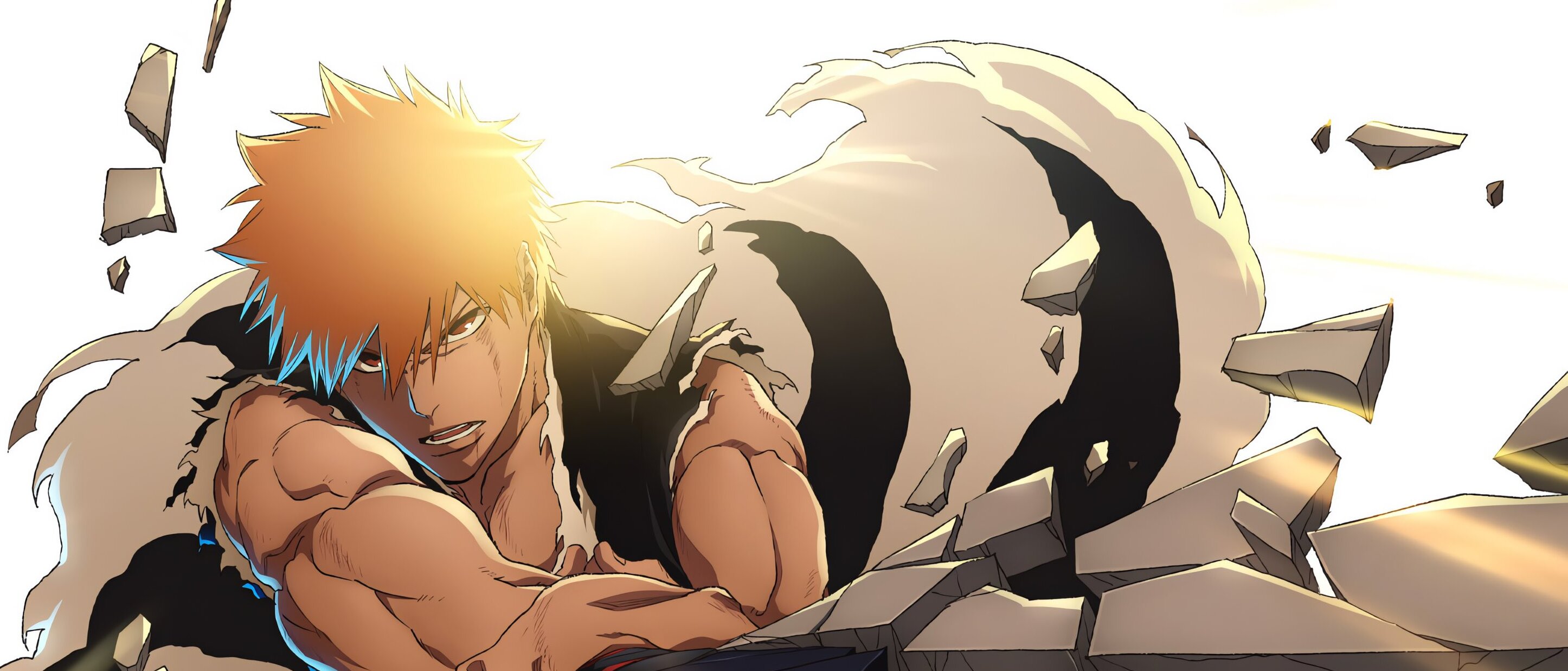 BLEACH: Sennen Kessen-hen - Kashin-tan