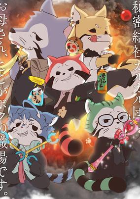 Araiguma Calcal-dan poster