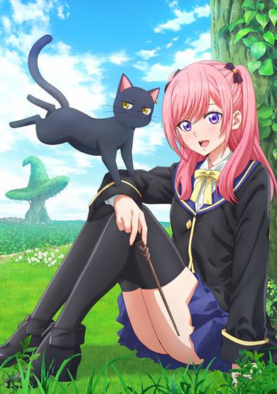 The Classroom of a Black Cat and a Witch