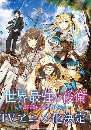 The World's Strongest Rearguard: Labyrinth Country's Novice Seeker