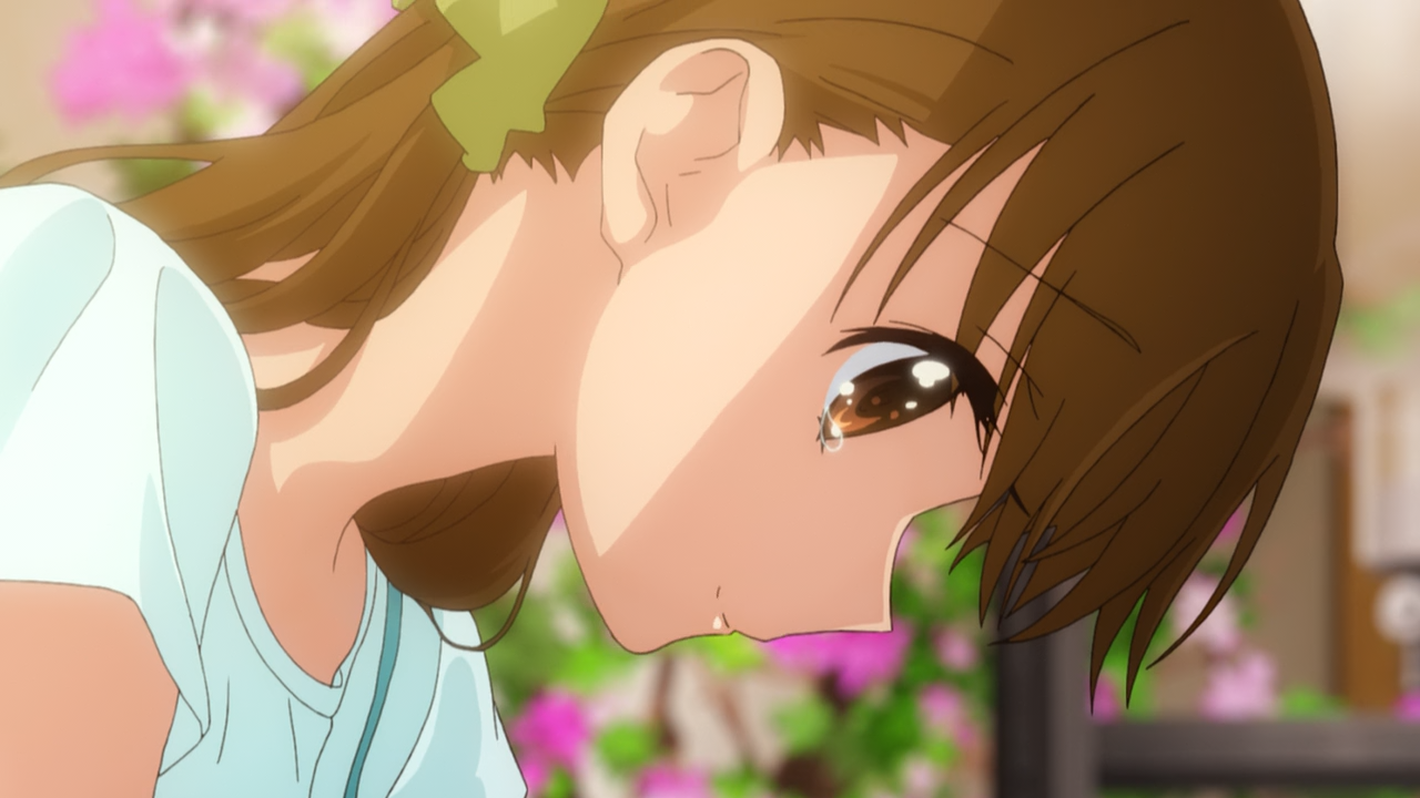 Tamayura: Sotsugyou Shashin Part 2 - Hibiki