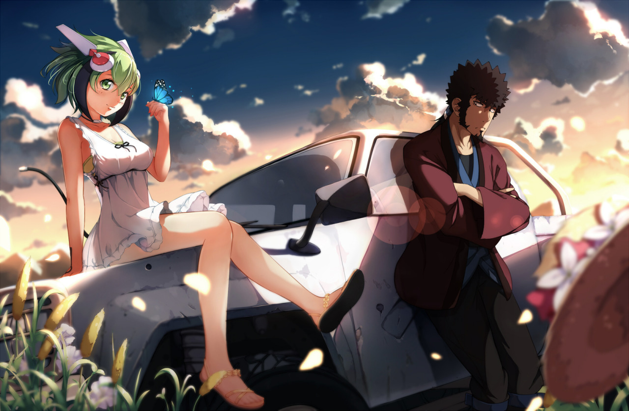 Dimension W