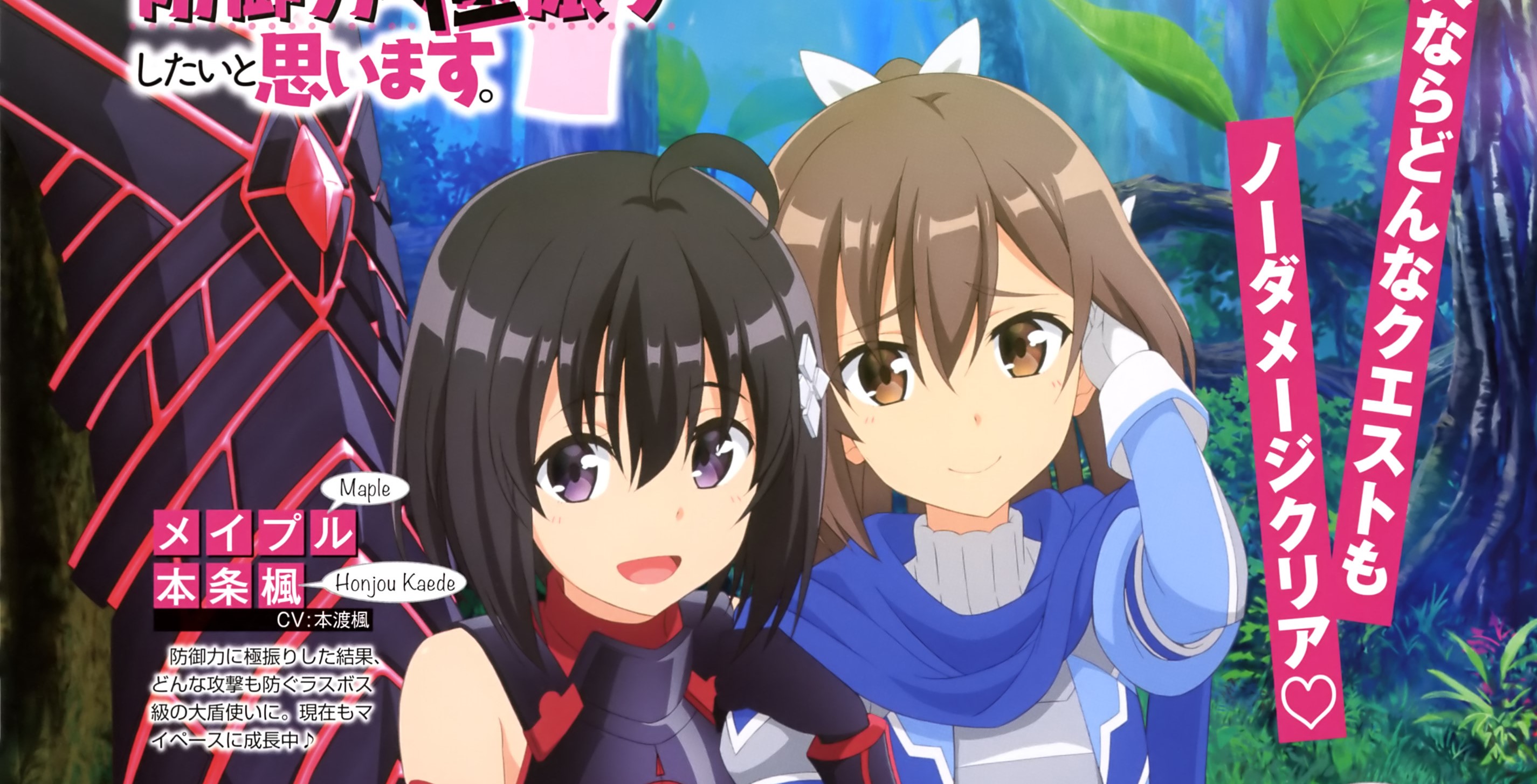 Itai no wa Iya nano de Bougyoryoku ni Kyokufuri Shitai to Omoimasu.