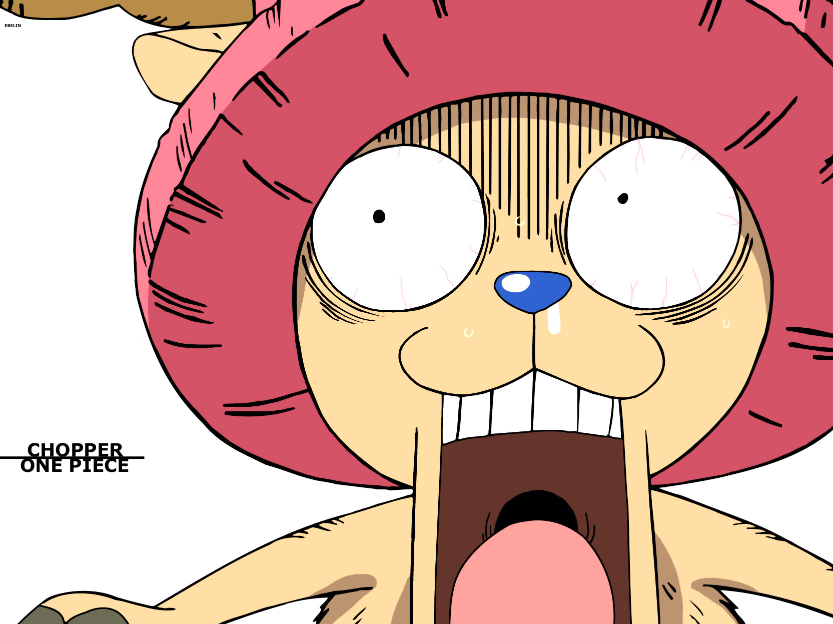 One Piece Movie 3: Chinjuu-jima no Chopper Oukoku