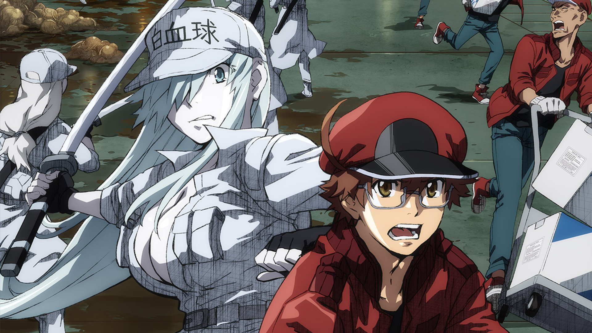 Hataraku Saibou Black (TV)