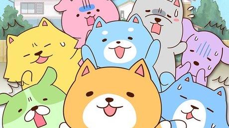 Mitchiri Wanko! Animation