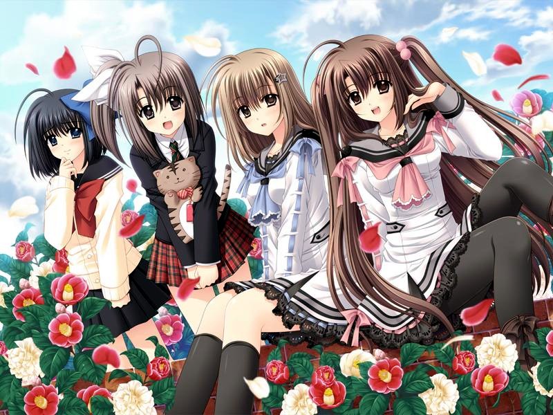 Oretachi ni Tsubasa wa Nai: Under the Innocent Sky.