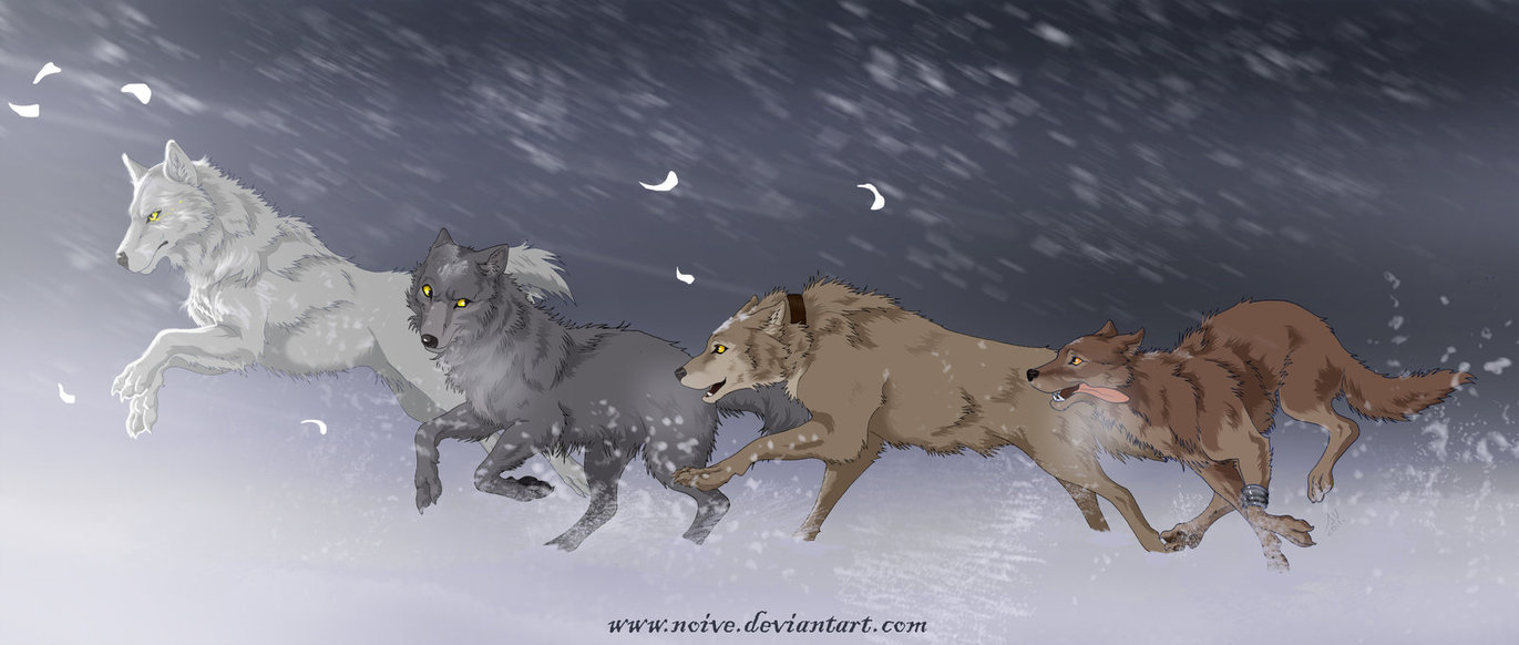 Wolf's Rain