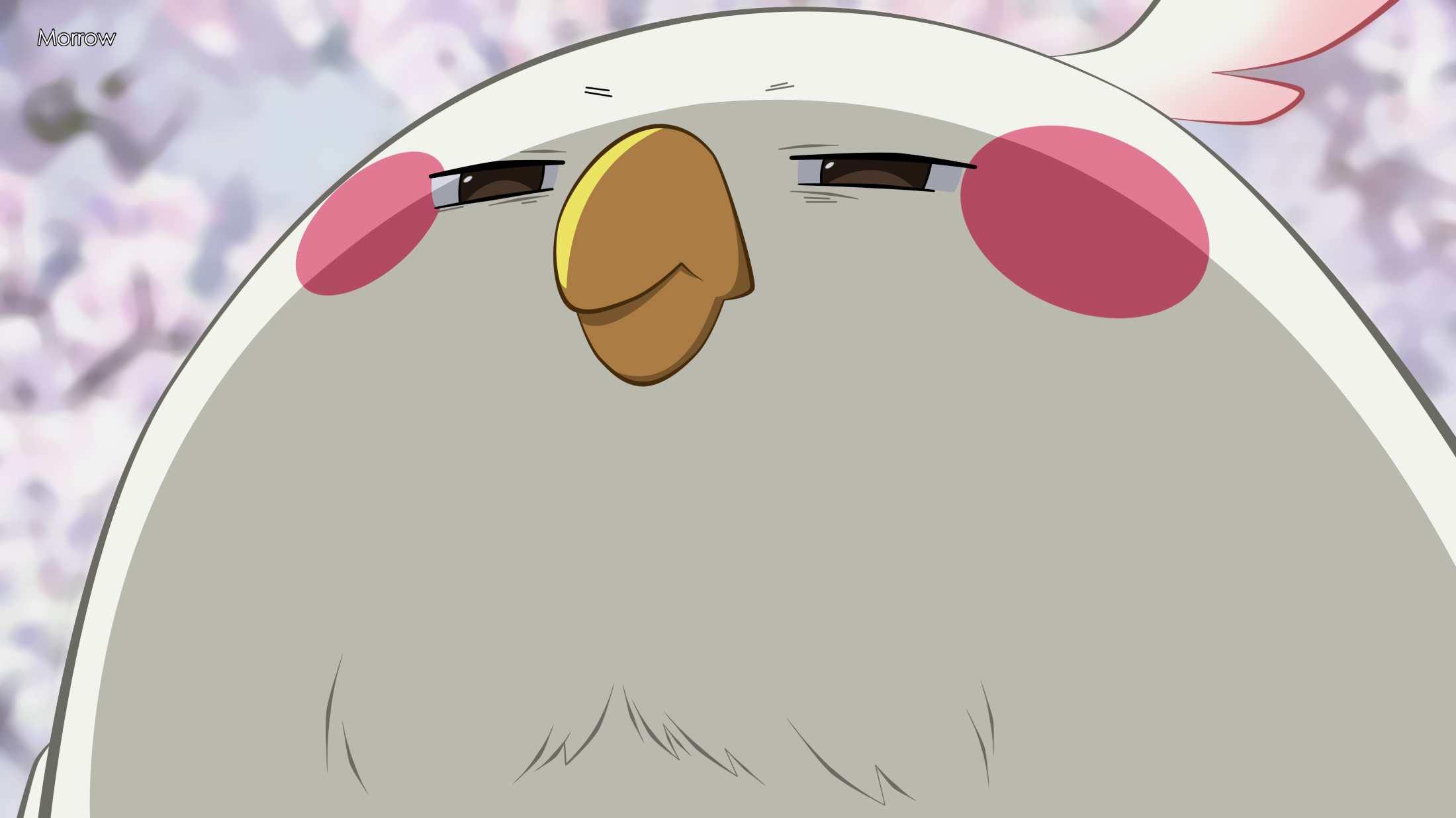 Minami no Shima no Dera-chan