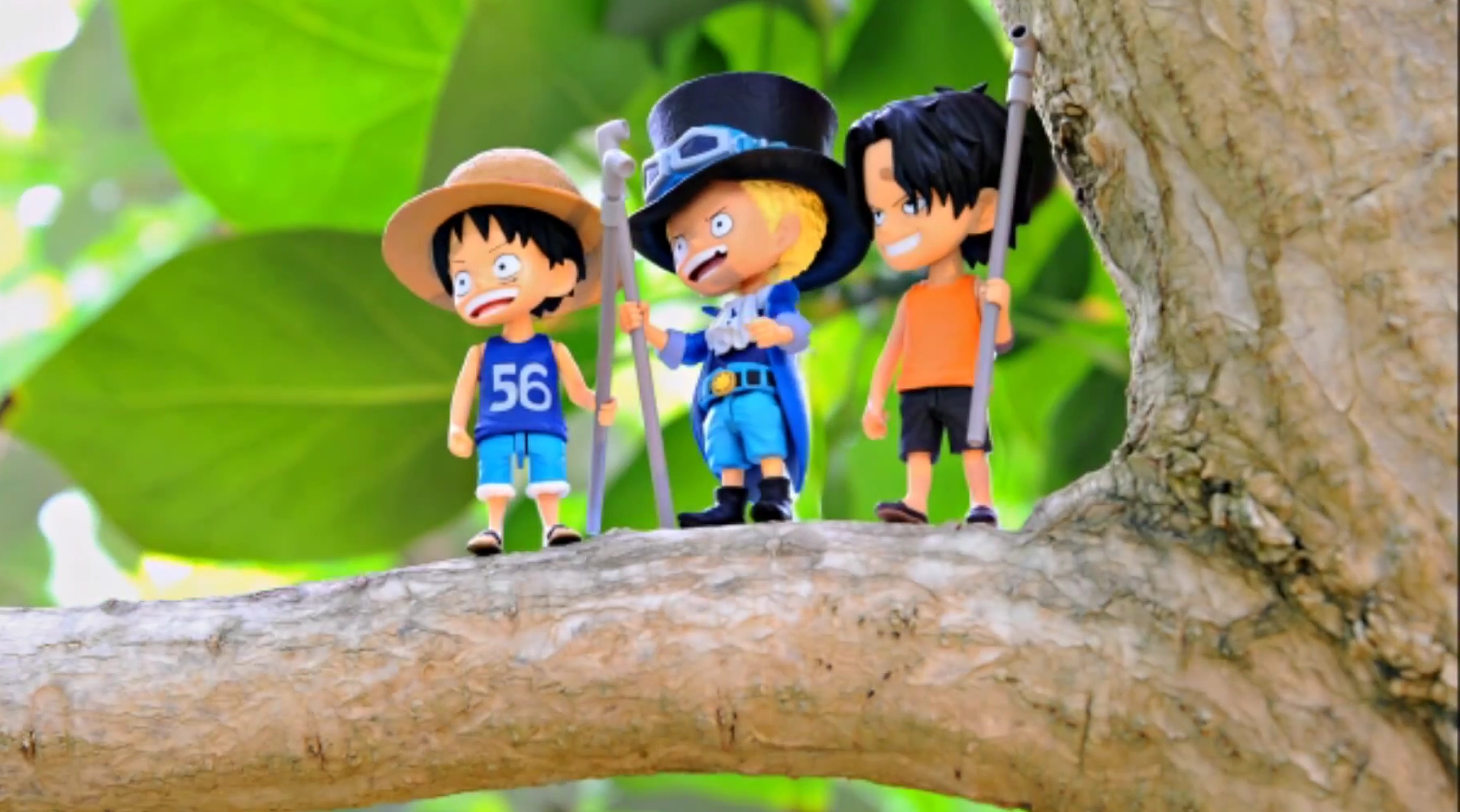 One Piece: Cry Heart