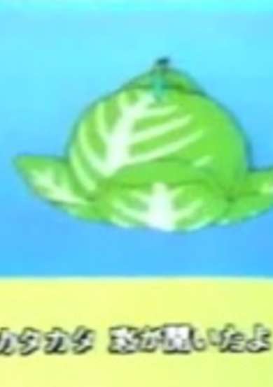 Cabbage UFO poster