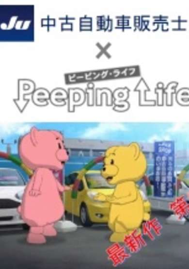 JU Chuuko Jidousha Hanbaishi x Peeping Life cover