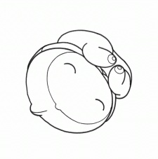 Poster for The Embryo Develops into a Fetus