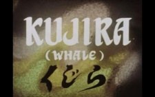 Kujira
