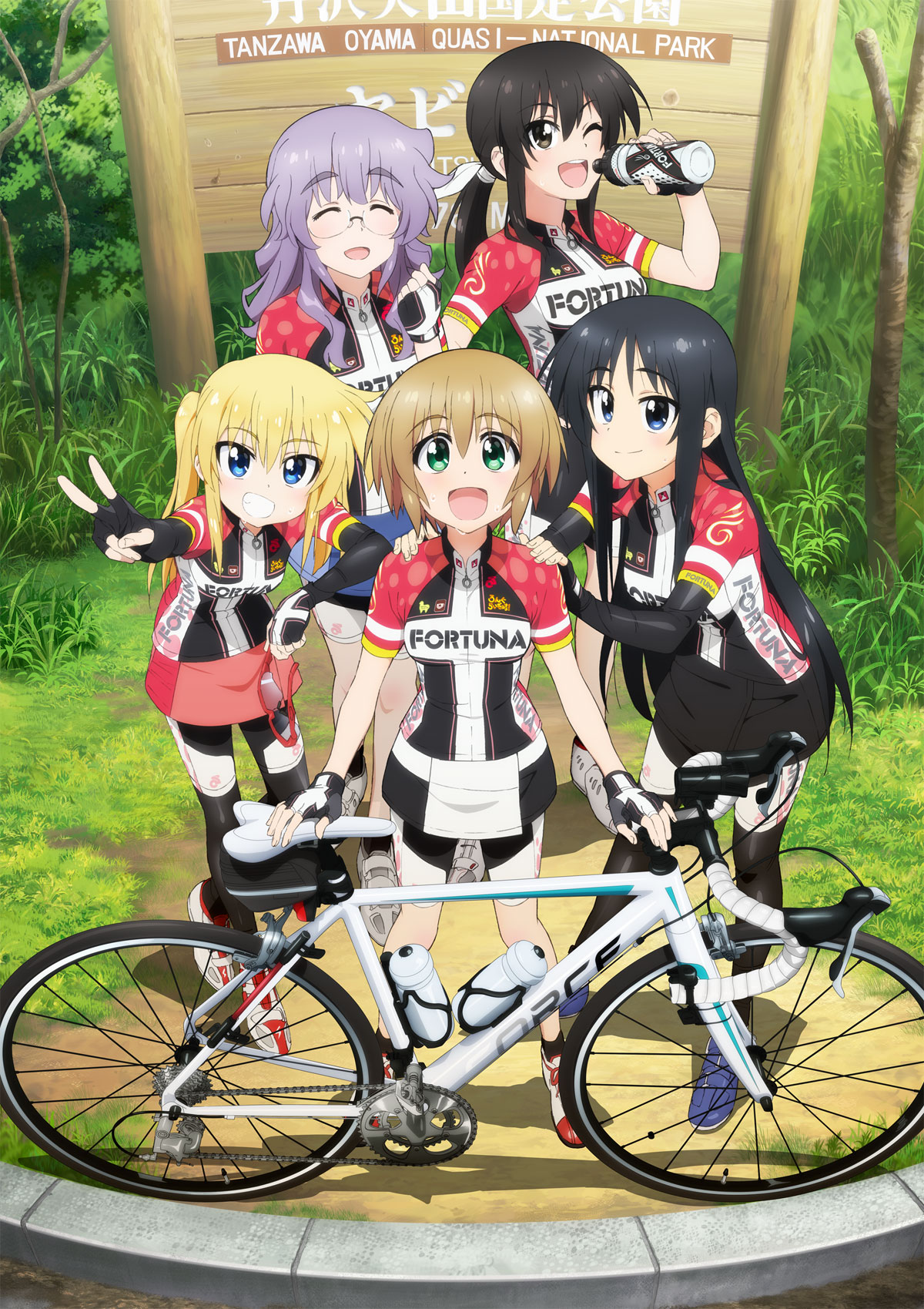 Poster for Long Riders!