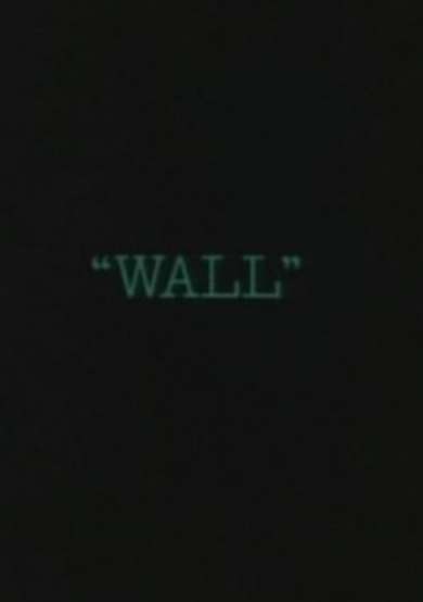 Wall cover