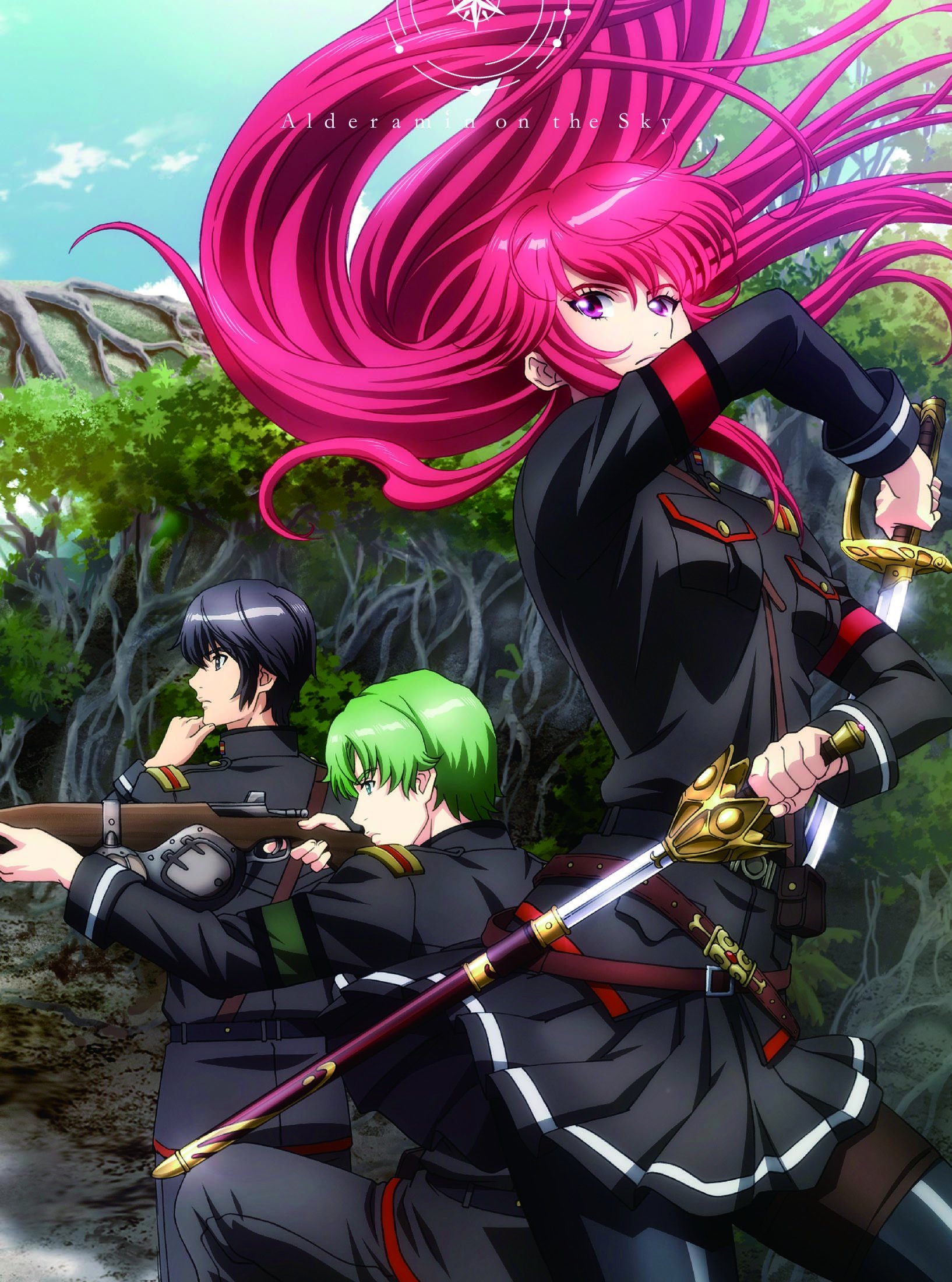 Alderamin on the Sky image