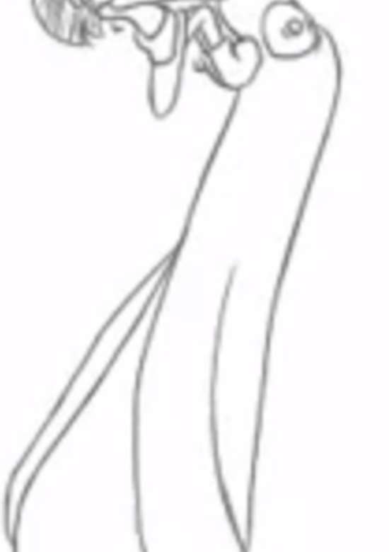 Onigiri Girl