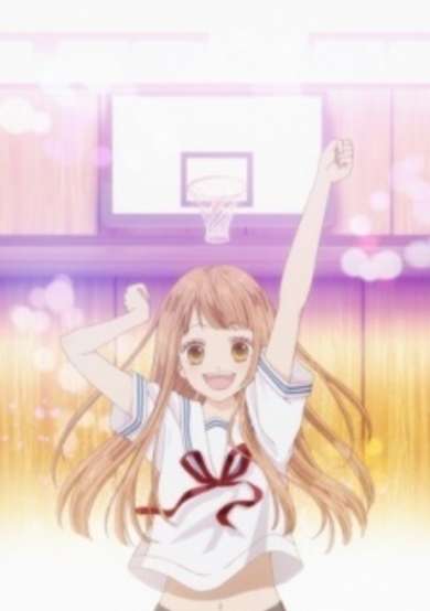 Tsubasa to Hotaru (2016) cover