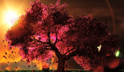 Poster for Cherry Blossom (Music)