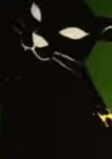 Survivor cover