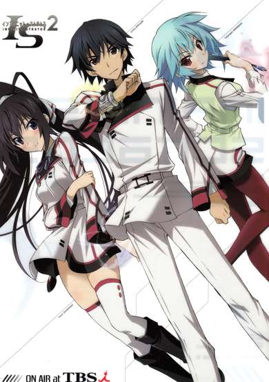 IS: Infinite Stratos 2 - Infinite Wedding cover