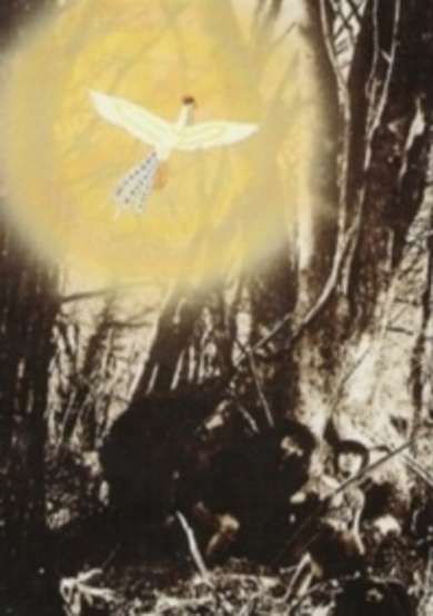 The Phoenix: Chapter of Dawn cover