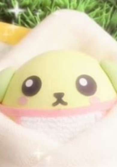 Babyshiba cover