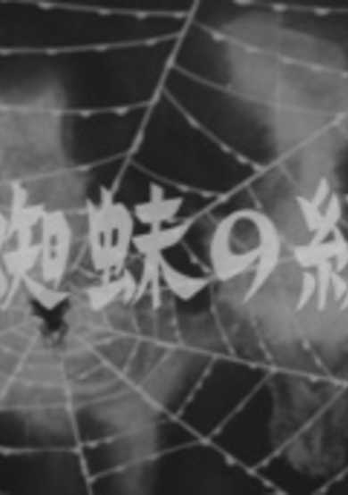 Spider Silk cover