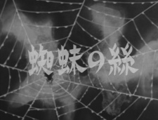 Poster for Spider Silk
