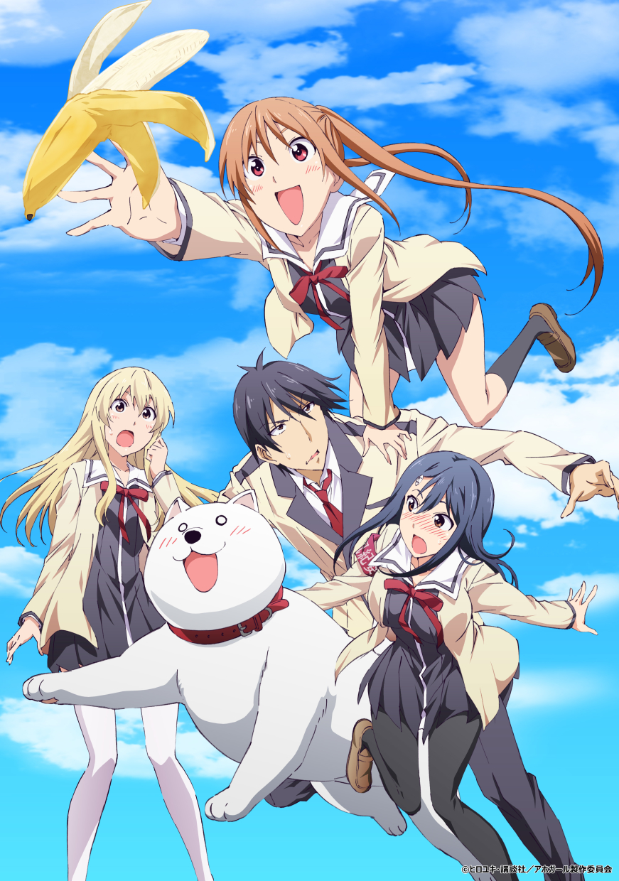 Poster for AHO-GIRL