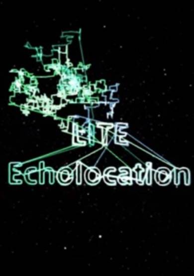 Echolocation image