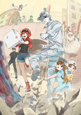 Hataraku Saibou