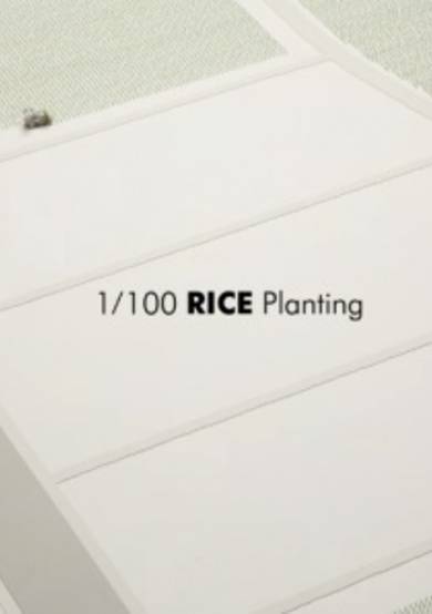 1/100 RICE Planting