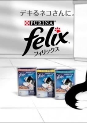 Purina Felix