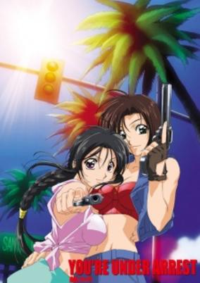You're Under Arrest: No Mercy!! cover art
