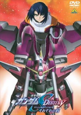 Mobile Suit Gundam Seed Destiny Special Edition cover art