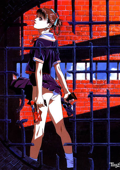 Kite cover